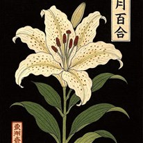 321